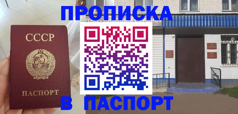 прописка для школы в Раменском